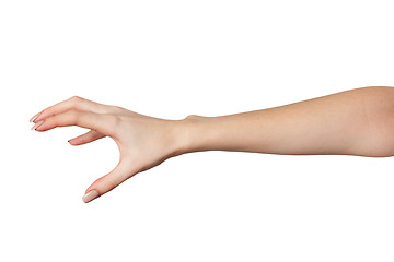 Image showing Female hand reaching for something on white