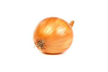 Image showing One onion, isolated on white