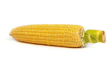 Image showing Fresh uncooked corn on the cob