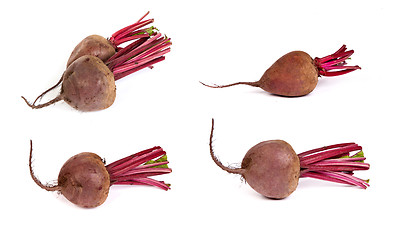 Image showing set of Fresh red beet isolated on  white