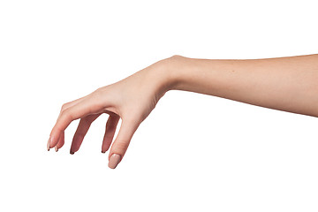 Image showing Female hand reaching for something on white