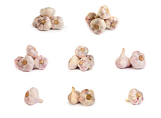 Image showing set of garlics . A heads of garlics isolated