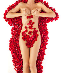 Image showing Part of the naked beautiful suntanned female body in petals of s