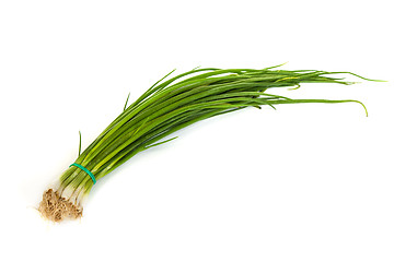 Image showing Fresh scallions isolated on white