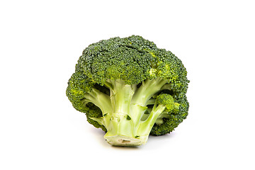 Image showing Single broccoli floret isolated on white