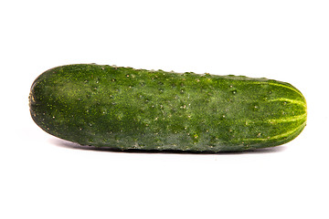 Image showing Fresh Cucumbers on white