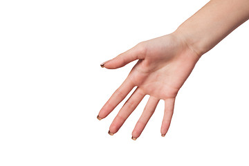 Image showing Hand gesture of Female isolated on white