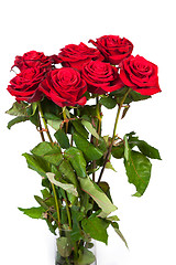 Image showing Three fresh red roses over white background