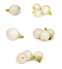 Image showing set of onions, isolated on white