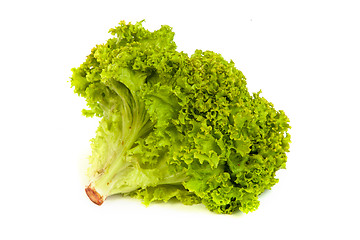 Image showing Fresh Green Lettuce isolated on white