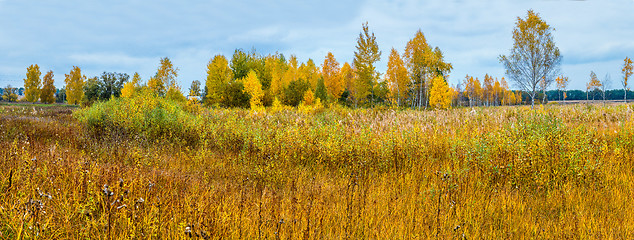 Image showing Autumn forest panorama