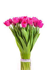 Image showing Bunch of tulips on a white