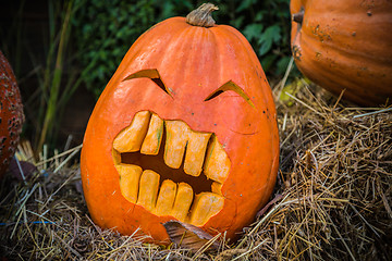 Image showing Halloween pumpkin