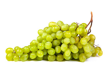 Image showing Grape