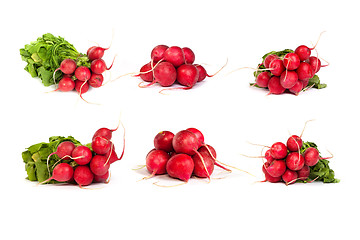 Image showing set of bunch of fresh radishes isolated on white