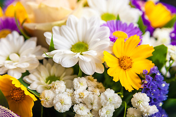 Image showing spring flowers background on white background