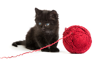 Image showing Black kitten playing with a red ball of yarn on white background