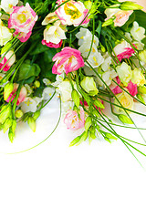 Image showing spring flowers background on white background