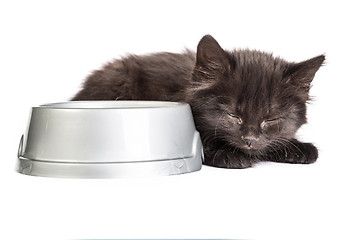 Image showing Black kitten drinks milk, on a white background