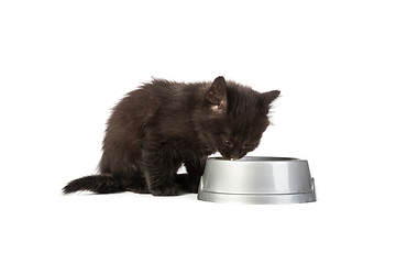 Image showing Black kitten drinks milk, on a white background