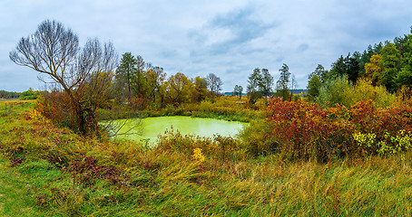 Image showing Forest lake in fall. Panorama