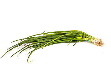 Image showing Fresh scallions isolated on white