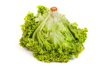 Image showing Fresh Green Lettuce isolated on white