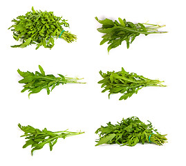 Image showing set of Arugula/rucola  fresh heap leaf on white