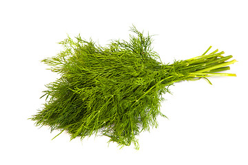 Image showing Fresh branches of green dill isolated