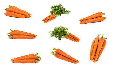 Image showing set of Bunch of fresh carrots isolated on white