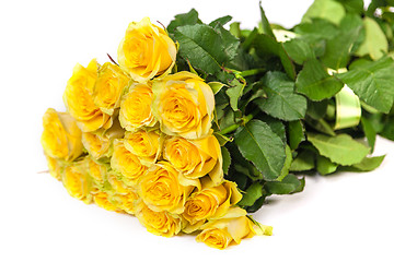 Image showing Group of fresh yellow roses