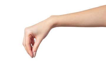 Image showing Female hand reaching for something on white