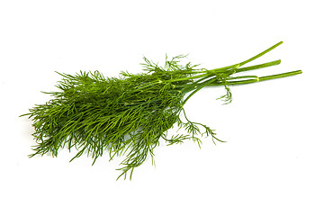 Image showing Fresh branches of green dill isolated