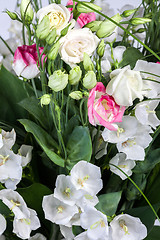 Image showing spring flowers background on white background