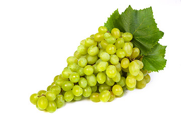 Image showing Grape