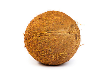 Image showing Coconut on a white background