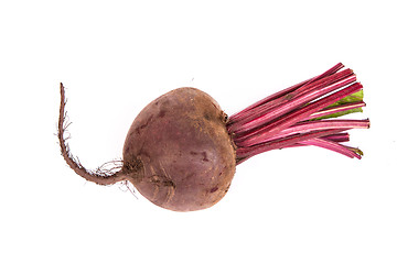 Image showing Fresh red beet isolated on  white