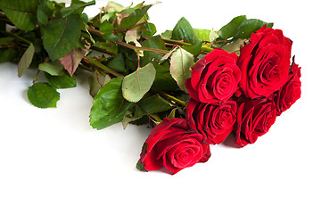 Image showing Three fresh red roses over white background