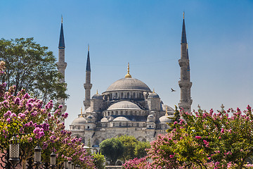 Image showing The Blue Mosque, (Sultanahmet Camii), Istanbul, Turkey