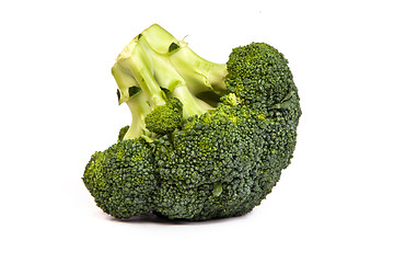 Image showing Single broccoli floret isolated on white