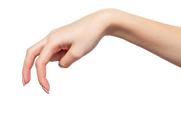 Image showing A Female hand is showing the walking fingers isolated on white