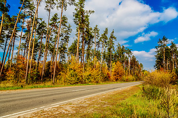 Image showing road in forest