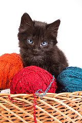 Image showing Black kitten playing with a red ball of yarn on white background