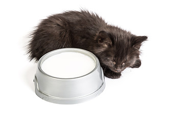 Image showing Black kitten drinks milk, on a white background