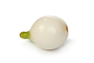 Image showing One onion, isolated on white