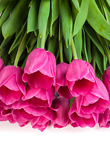 Image showing Bunch of tulips on a white