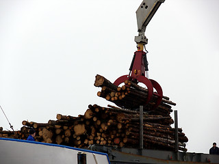 Image showing Timber Boat Loading