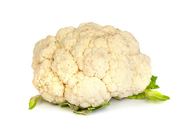 Image showing Cauliflower isolated on white