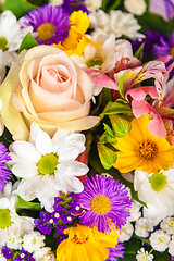 Image showing spring flowers background on white background