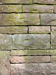 Image showing Old Bricks